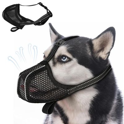 DOINEUFL Dog Muzzle for Medium and Small Dogs (M)