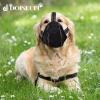 DOINEUFL Dog Muzzle for Medium and Small Dogs (M) view 4