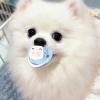 Silicone Dog Pacifier for Small Dogs view 2