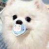 Silicone Dog Pacifier for Small Dogs view 3