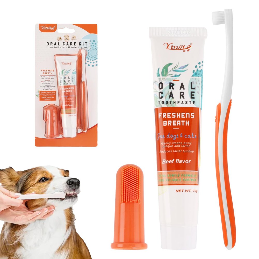 Dog Dental Care Set with Toothpaste, Toothbrush & Finger Brush, Orange