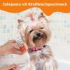 Dog Dental Care Set with Toothpaste, Toothbrush & Finger Brush, Orange view 2