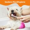 Dog Dental Care Set with Toothpaste, Toothbrush & Finger Brush, Orange view 3
