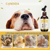 Yeast Infection Treatment for Dogs – Natural Support for Itchy Skin, Allergies & Inflamed Ears view 4