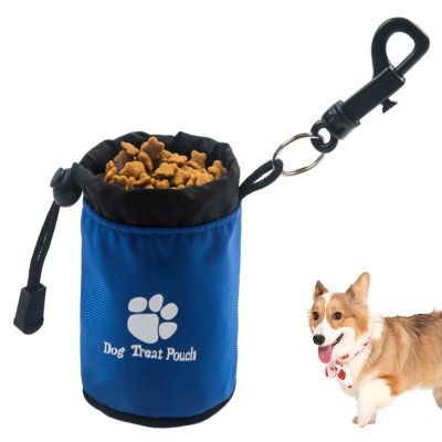 LearnLyrics Dog Training Treat Pouch