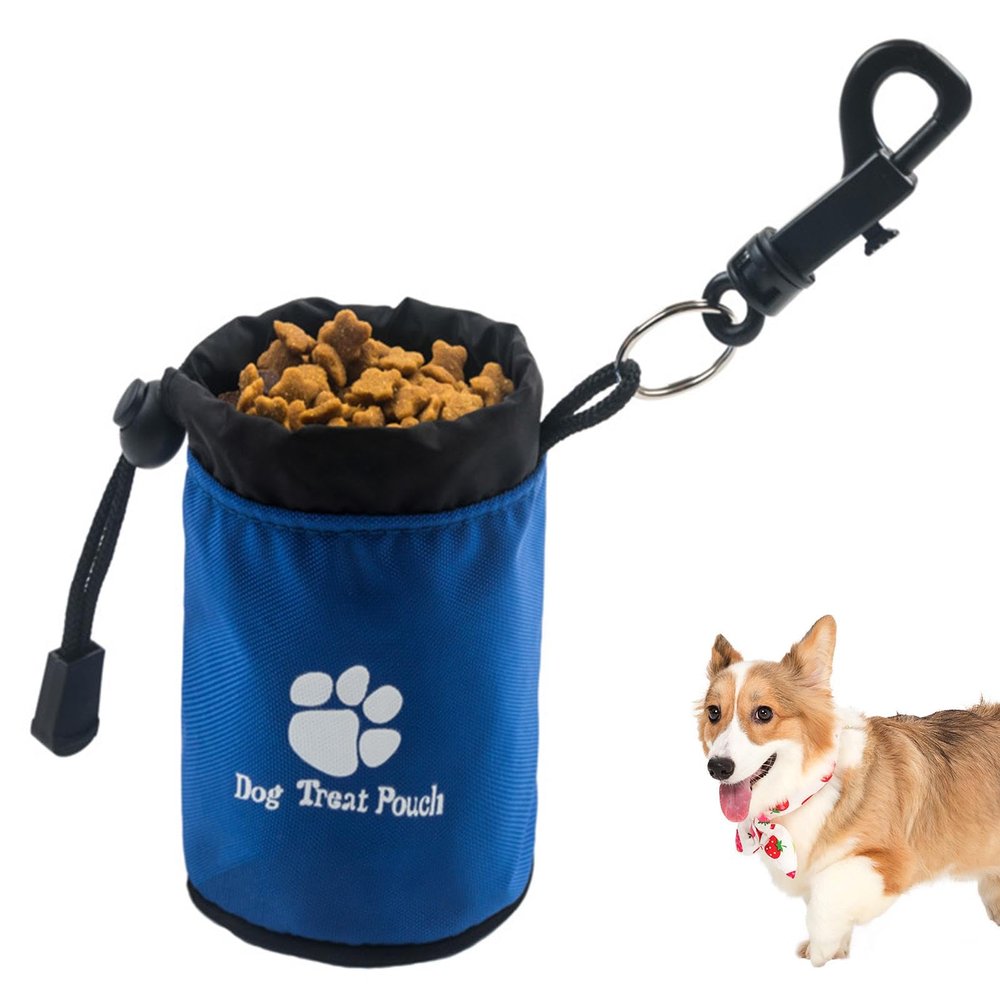 LearnLyrics Dog Training Treat Pouch