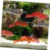 Alipis 10-Piece Miniature Fish Decoration for Aquariums view 4