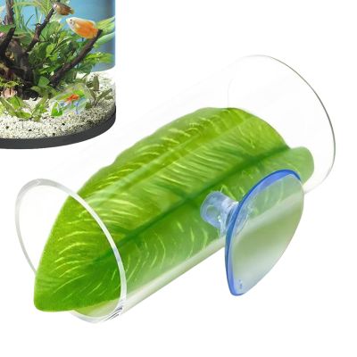 Betta Acrylic Tube and Tunnel for Aquariums