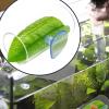 Betta Acrylic Tube and Tunnel for Aquariums view 3