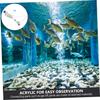 Angoily 2-Piece Cichlid Fish Egg Incubator with Suction Cups view 4