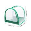 BESPORTBLE Butterfly Mesh Cage for Caterpillars, PVC and 600D Polyester view 4