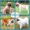 Dog Muzzle for Large Dogs, Anti-Bite Mesh, Breathable, Adjustable view 2
