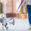 Dog Waste Bag Holder view 2