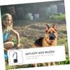 Supvox 3-Piece Wear-Resistant Adjustable, Breathable Dog Muzzle Set for Outdoor Activities view 3
