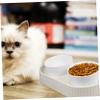 Kisangel Elevated Cat Bowl, Angled, Flat and Wide, Ceramic and PP, Easy to Clean view 3