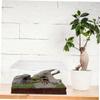 Acrylic Reptile Box with Ventilation for Feeding and Breeding view 4