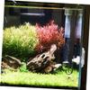 BESPORTBLE 3-Piece CO2 Bubble Counter with Dual-Head Diffuser view 4