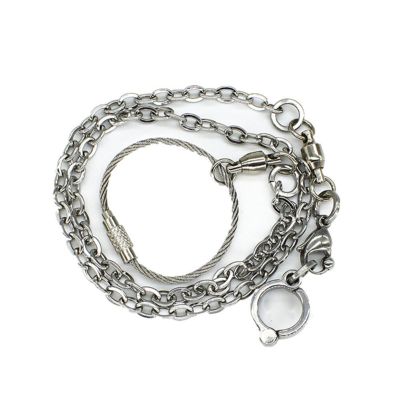 Stainless Steel Parrot Training Ring