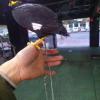 Stainless Steel Parrot Training Ring view 2
