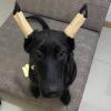 Dog Ear Stand-Up Support Posting Kit view 3