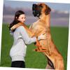 Reflective Nylon Muzzle for Dogs, Breathable and Adjustable view 2