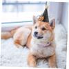 BUGUUYO 2-Piece Halloween Pet Hats view 3