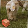 Salt Lick Holder for Deer and Roe Deer with Large Opening Design view 2