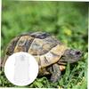 INOOMP Turtle Basking Platform with Suction Cup view 2
