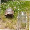 INOOMP Turtle Basking Platform with Suction Cup view 3