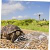 INOOMP Turtle Basking Platform with Suction Cup view 4