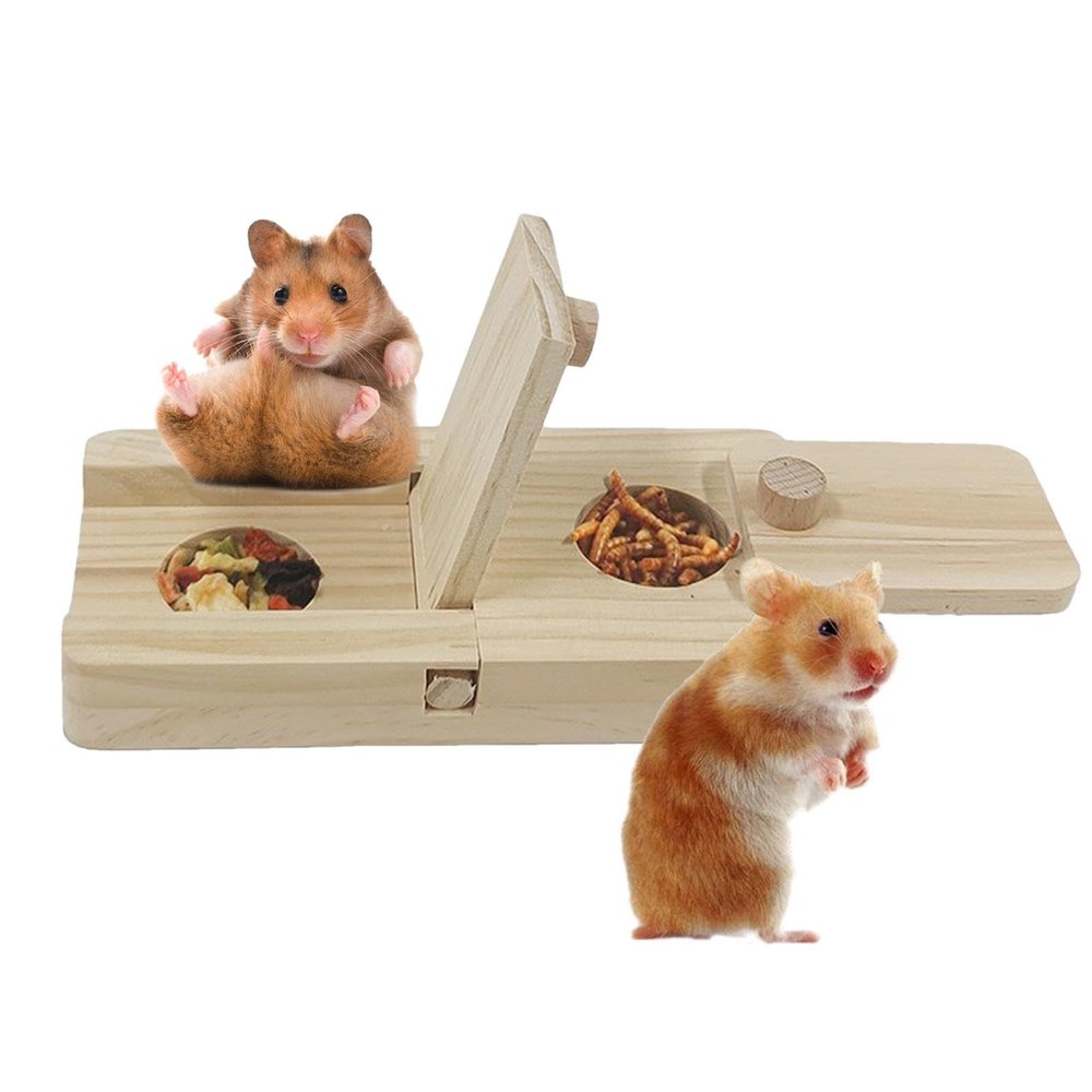 Guinea Pig Feeding Toy, Treat Dispenser for Hamsters