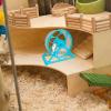 Hamster Training Wheel view 3