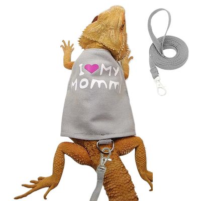 Reptile Harness and Leash Set