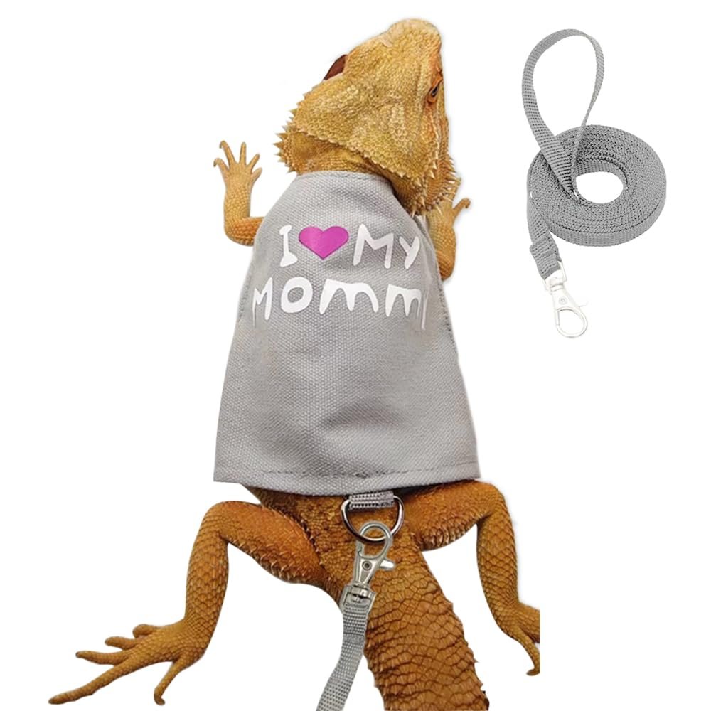 Reptile Harness and Leash Set
