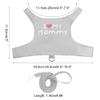 Reptile Harness and Leash Set view 2