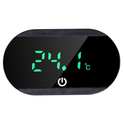 Mini Digital Aquarium Thermometer
