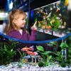 Mini Digital Aquarium Thermometer view 3