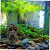 Reptile Terrarium Hide Cave, Coffee, Resin view 4