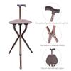 Folding Walking Stick Seat, Telescoping Tripod Cane Chair, Lightweight Height-Adjustable Mobility Aid for Seniors and People with Disabilities view 3