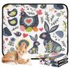 Indoor Washable, Non-Slip Dog Pads for Floors and Cars, 24 x 36 in + 36 x 42 in, Cute Easter Bunnies, 2-Pack view 1