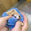 Nuyhadds Hamster Sleeping Bag view 3