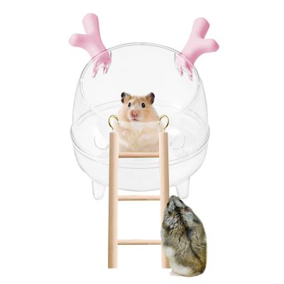 Sand Bathtub for Hamster