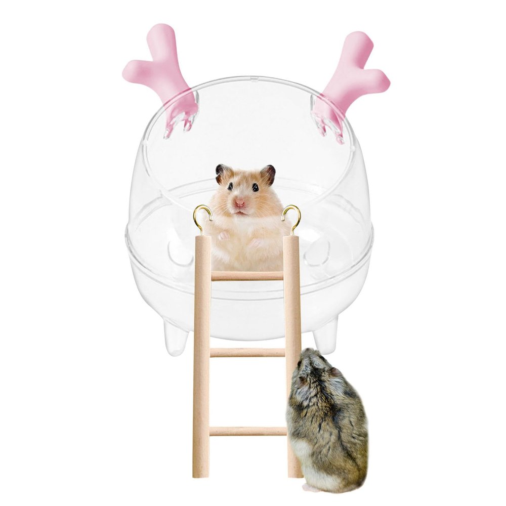 Sand Bathtub for Hamster