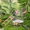 Sand Bathtub for Hamster view 2