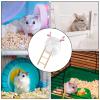 Sand Bathtub for Hamster view 4