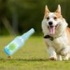 Interactive Water Bottle Dog Toy with Squeaker and Ball view 2