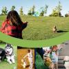 Interactive Water Bottle Dog Toy with Squeaker and Ball view 4