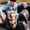 Dog Sunglasses for Medium and Large Breeds, UV Protection, Anti-Fog and Windproof view 4