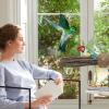 Natural Wooden Parrot Perch view 4