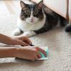 Pet Hair Removal Tool, Dog Epilator view 2